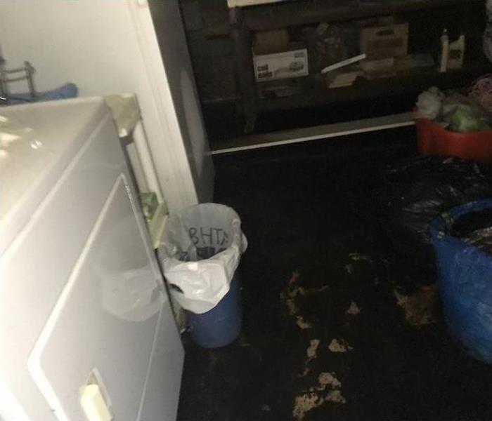 Basement with washing machine and standing water on the floor