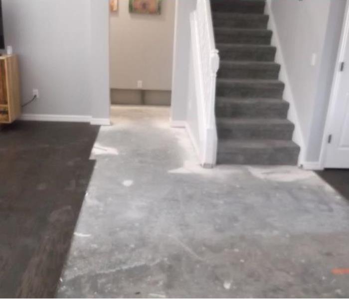 Room with stairs and partially removed carpet with subfloor exposed