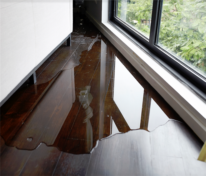puddles of water on wood floor